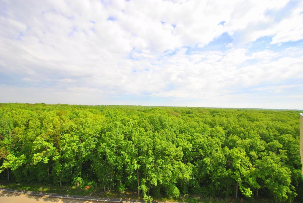 Forest 1 Timisoara Exterior foto
